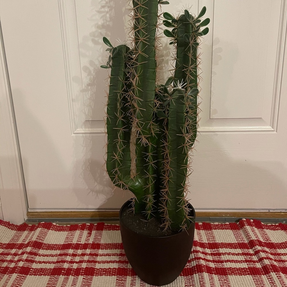 29” faux cactus